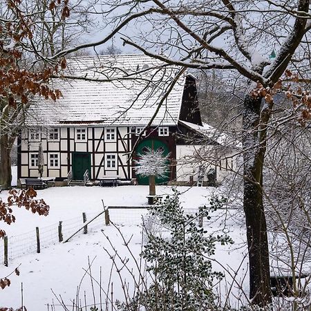 Suffelmuehle Villa Bad Driburg Eksteriør bilde
