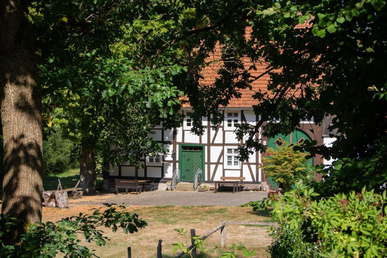 Suffelmuehle Villa Bad Driburg Eksteriør bilde