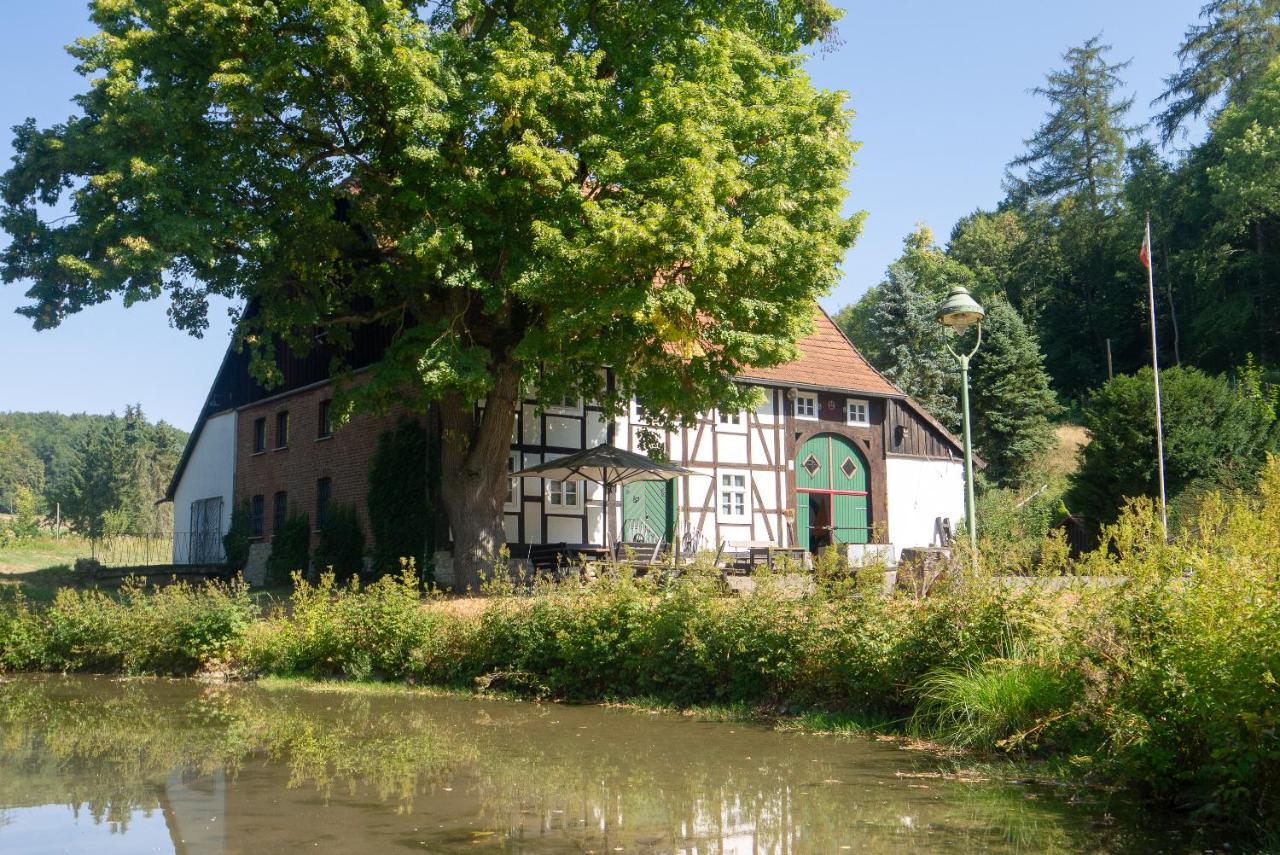 Suffelmuehle Villa Bad Driburg Eksteriør bilde