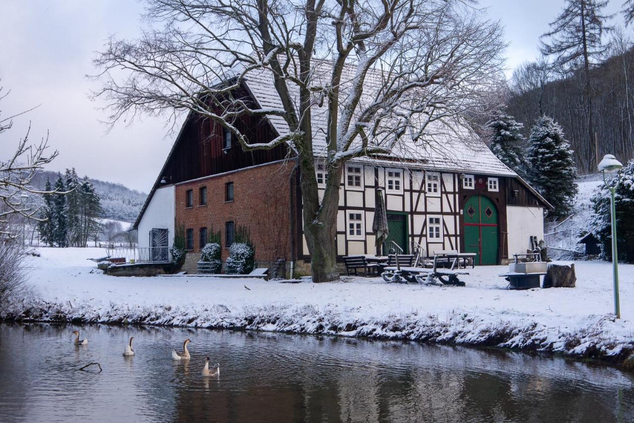Suffelmuehle Villa Bad Driburg Eksteriør bilde